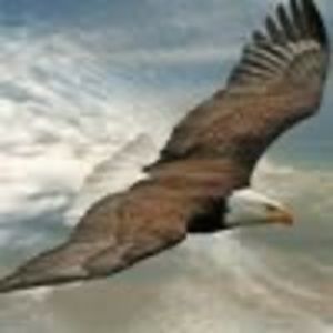 Meet your Posher, Aguila